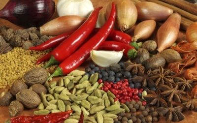 Vortrag: Fit & gesund durch den Herbst und Winter